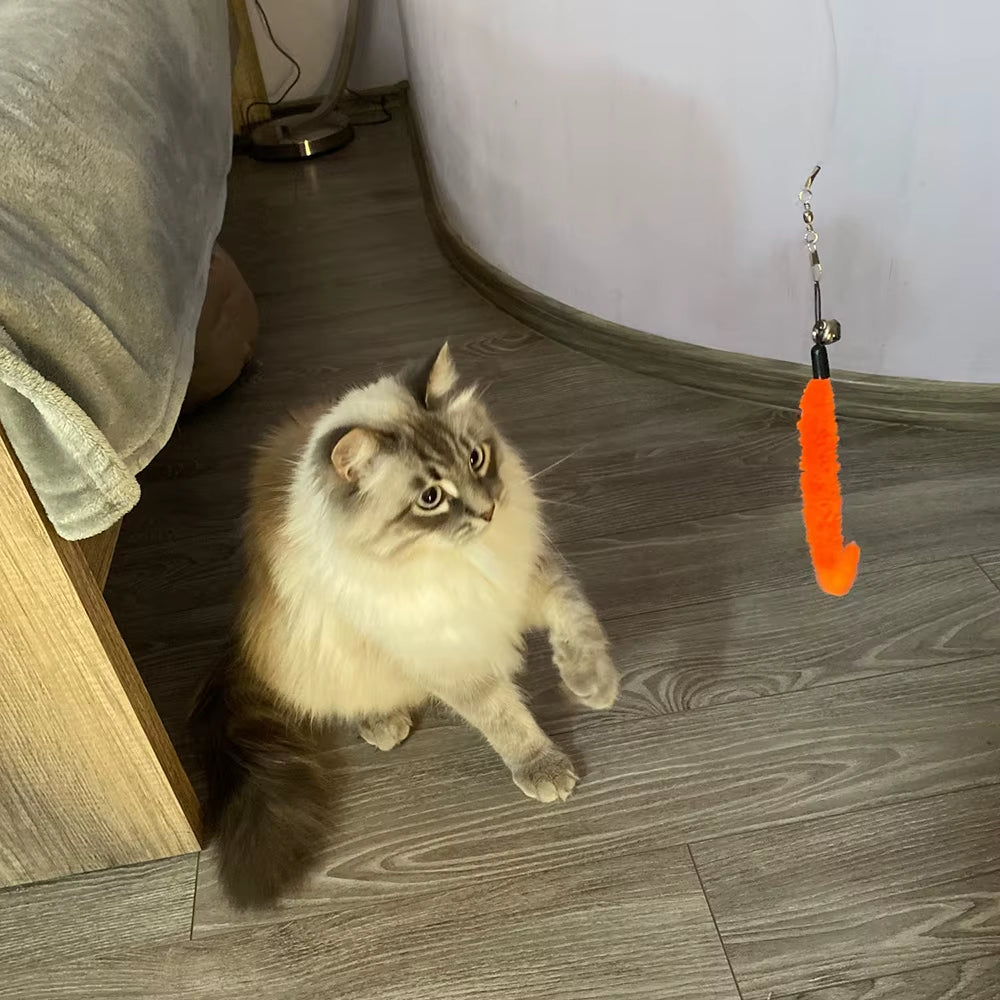 Varita de juego interactivo con plumas para gato retractible plumas con campana atrapador para ejercicio de gatos