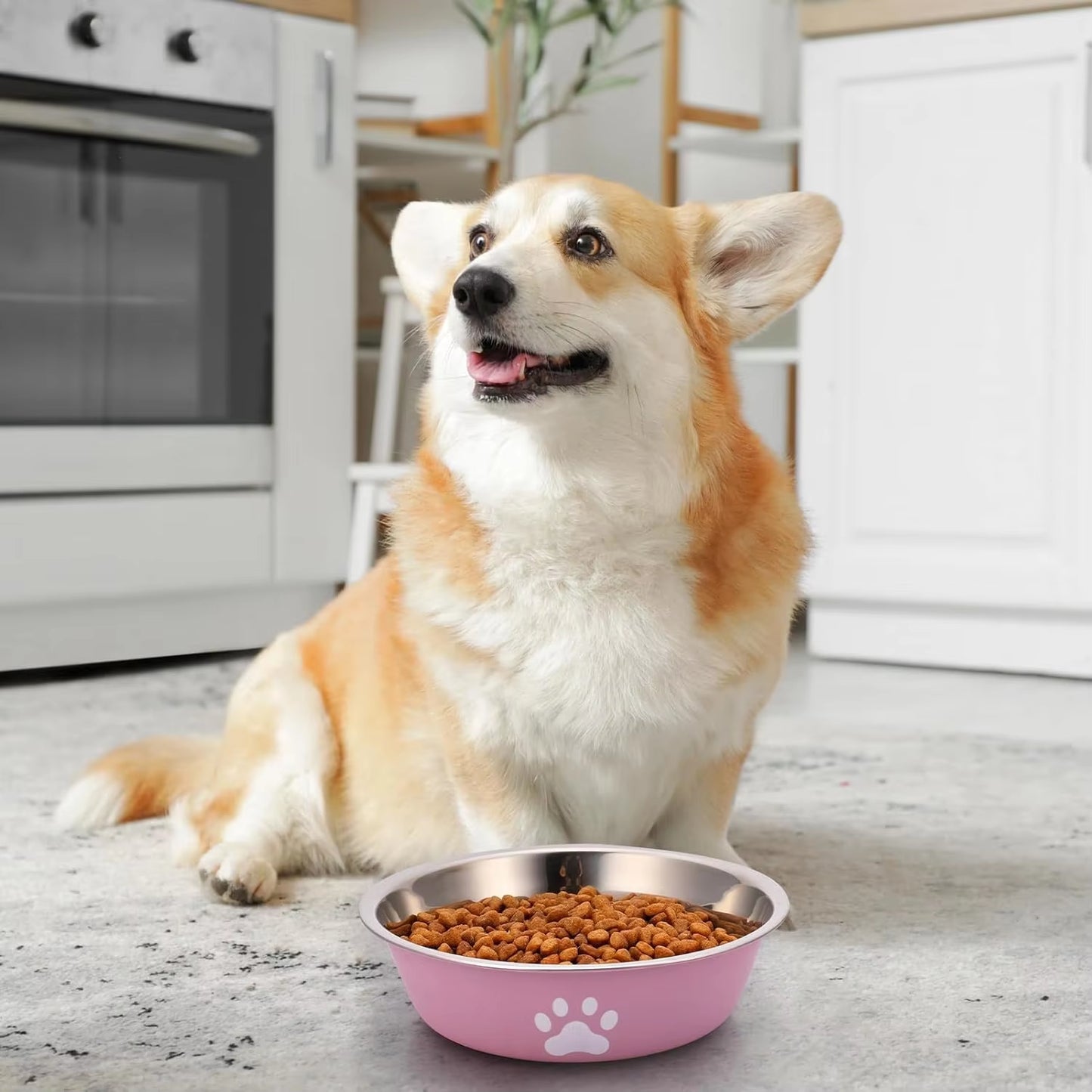 Tazón de acero inoxidable para perros con base de plástico antideslizante, comedero y bebedero para perros, platos para perros y gatos.