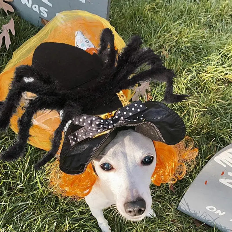 Disfraz de araña para Halloween, disfraz de araña negra espeluznante, ideal para perros y gatos, accesorios de cosplay para fiestas, atuendo divertido.