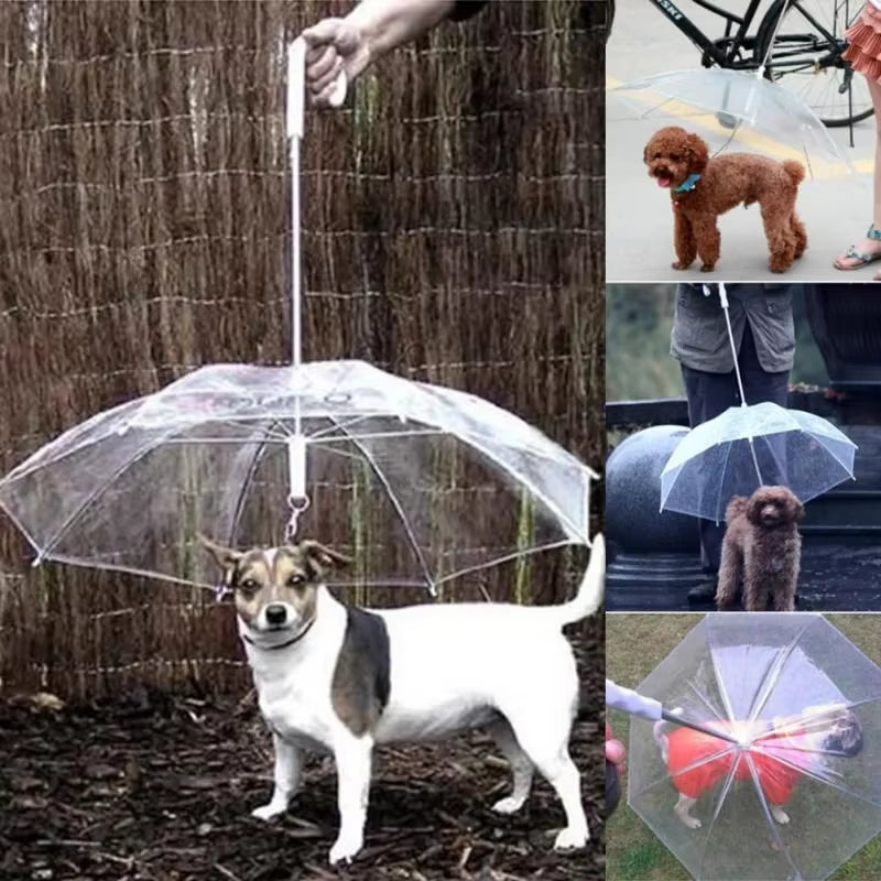 Paraguas para pasear, perros de viaje, poncho impermeable, productos impemeables para mascotas, temporada de lluvias 