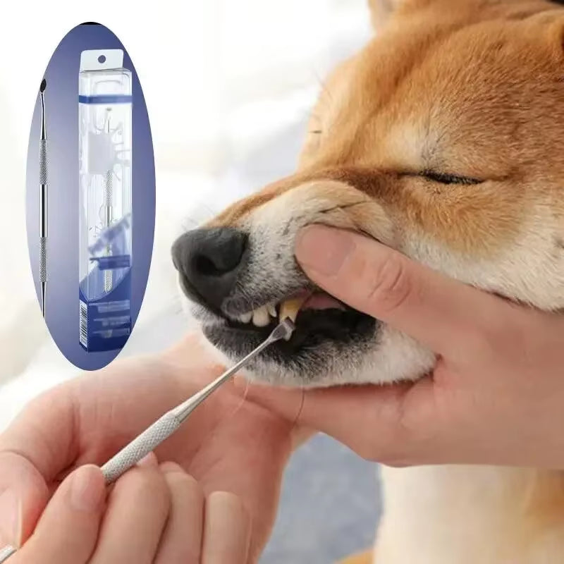 Limpiador de dientes para perros y mascotas, removedor de sarro, dental de acero inoxidable, herramienta de limpieza bucal para refrescar el aliento de los cachorros, perros y gatos.