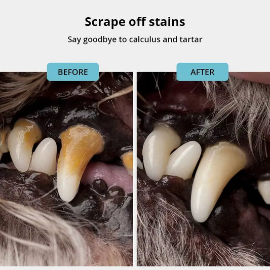 Limpiador de dientes para perros y mascotas, removedor de sarro, dental de acero inoxidable, herramienta de limpieza bucal para refrescar el aliento de los cachorros, perros y gatos.