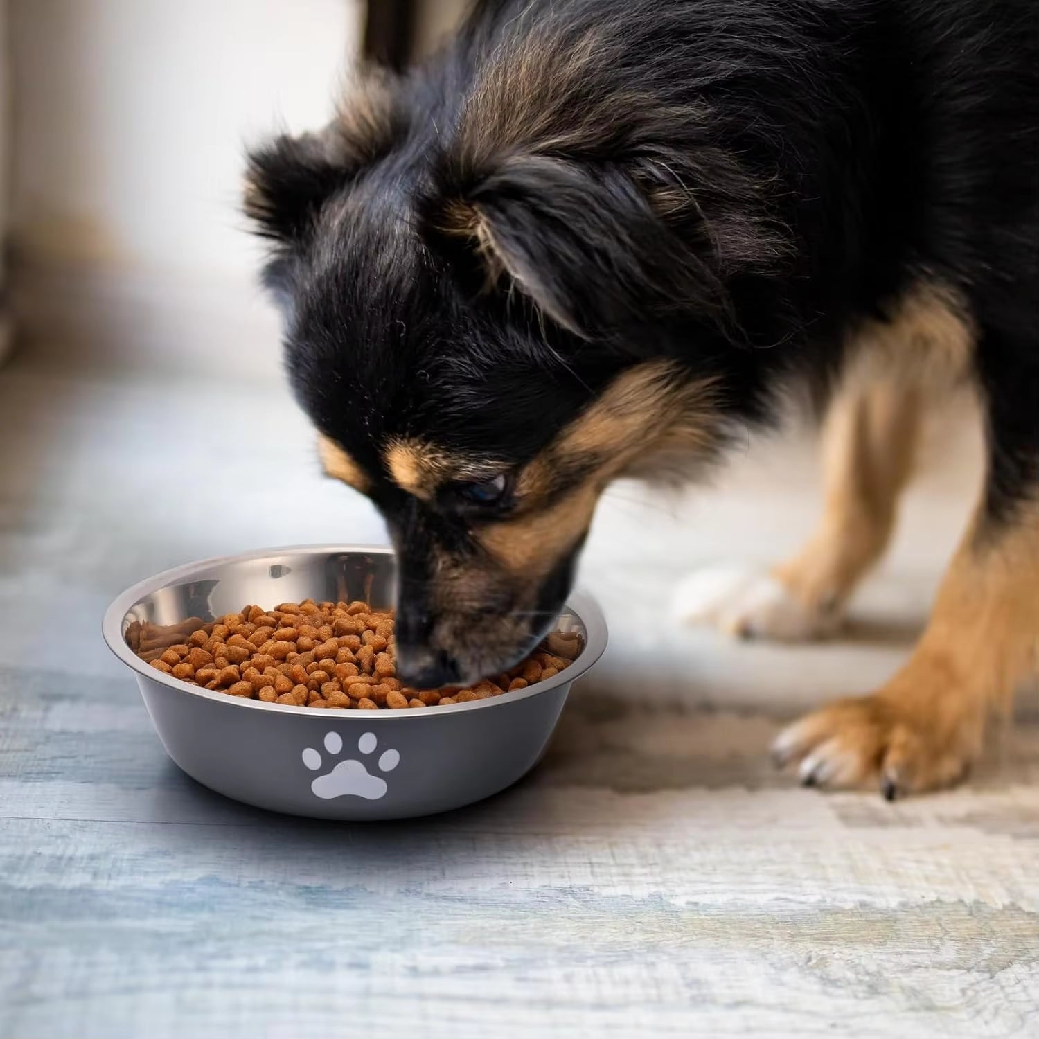 Tazón de acero inoxidable para perros con base de plástico antideslizante, comedero y bebedero para perros, platos para perros y gatos.