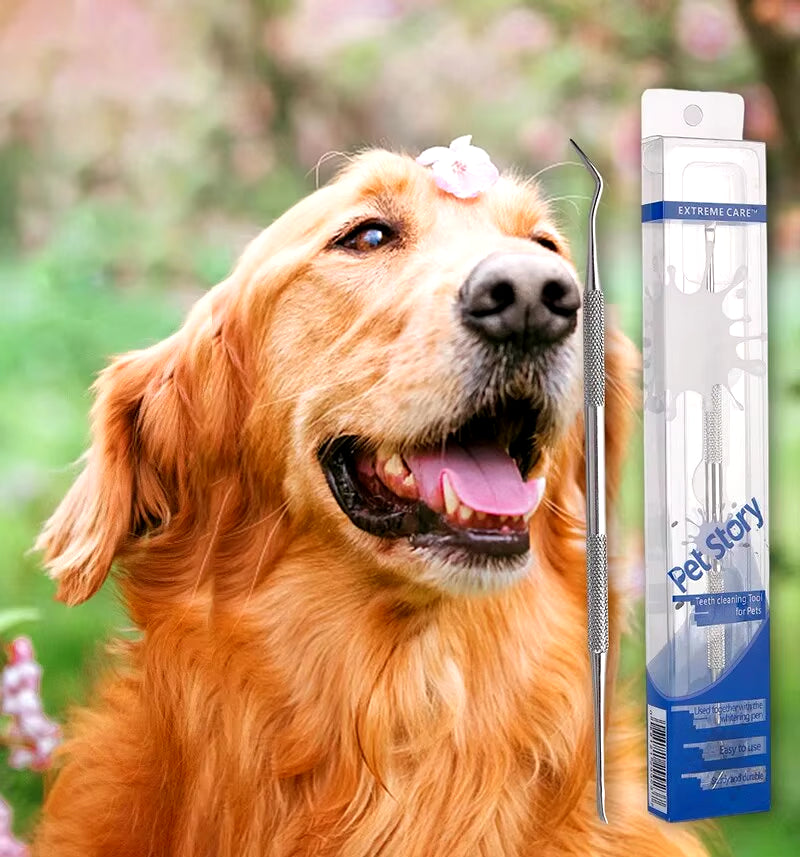 Limpiador de dientes para perros y mascotas, removedor de sarro, dental de acero inoxidable, herramienta de limpieza bucal para refrescar el aliento de los cachorros, perros y gatos.