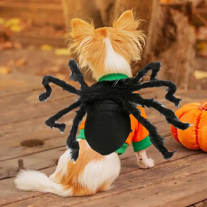 Disfraz de araña para Halloween, disfraz de araña negra espeluznante, ideal para perros y gatos, accesorios de cosplay para fiestas, atuendo divertido.