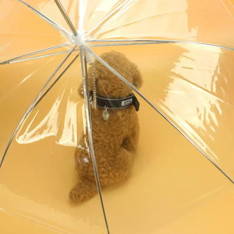 Paraguas para pasear, perros de viaje, poncho impermeable, productos impemeables para mascotas, temporada de lluvias 