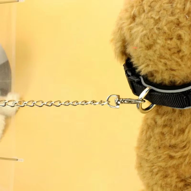 Paraguas para pasear, perros de viaje, poncho impermeable, productos impemeables para mascotas, temporada de lluvias 